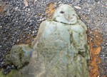 nejizo.jpg