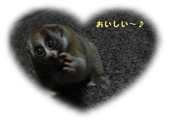 みく.JPG