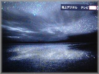 IMG_2009.jpg