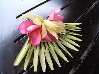 IMG_3629.jpg