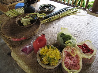 IMG_3488.jpg