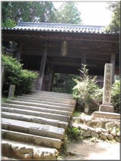 IMG_5561.jpg