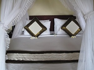 IMG_0230.jpg