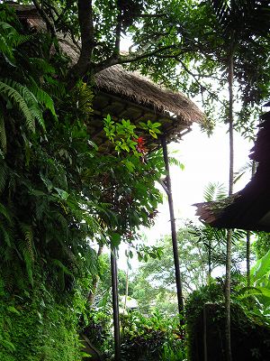IMG_0192.jpg