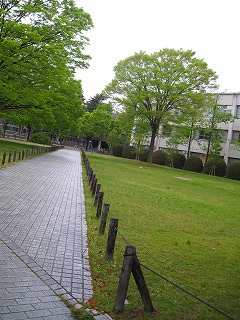 IMG_9521.jpg