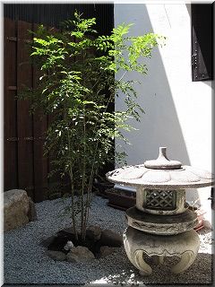 かえるcafe