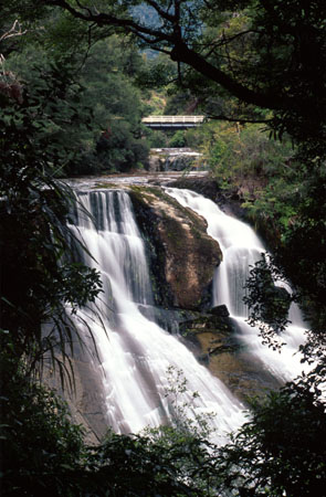 Aniwaniwa Falls, Urewera National Park.jpg