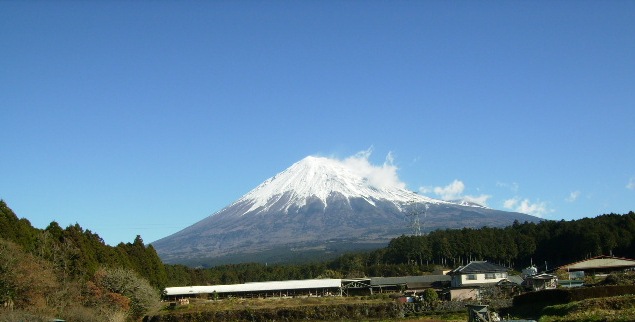 ヤブチ峠道 008.JPG