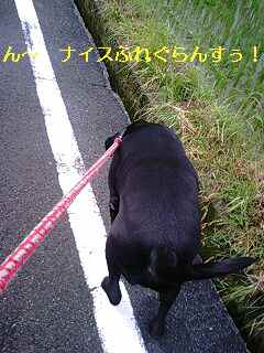 PA0_0007.JPG