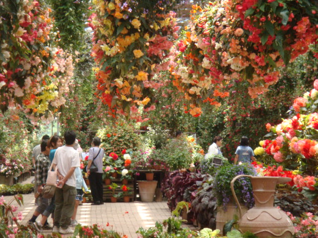 富士国際花園