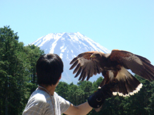 富士国際花園