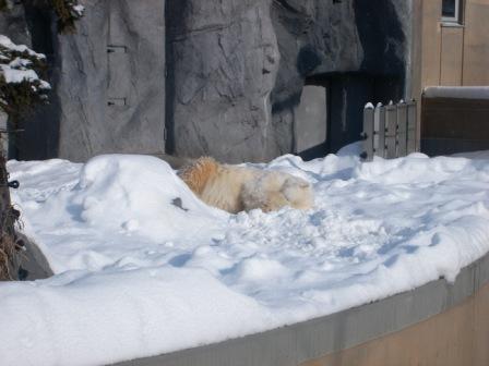 外から見たお昼寝