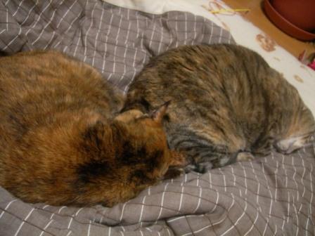 向きが変わった