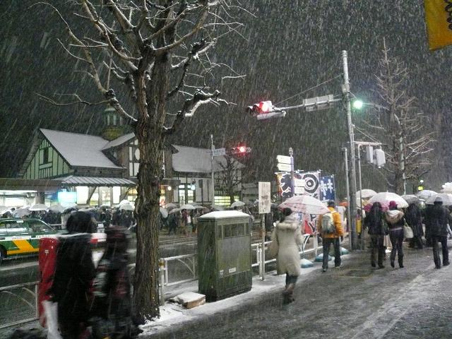 雪の日4.JPG