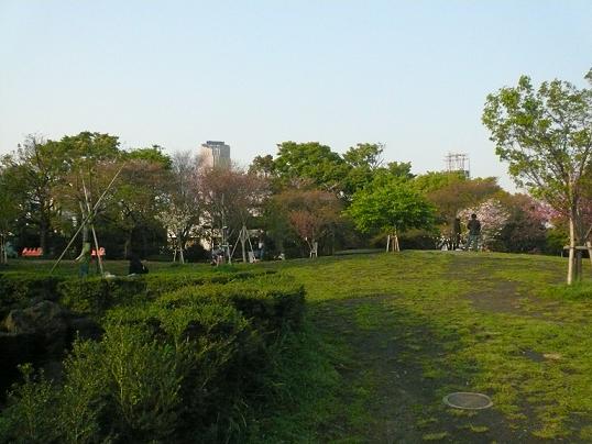 公園.JPG