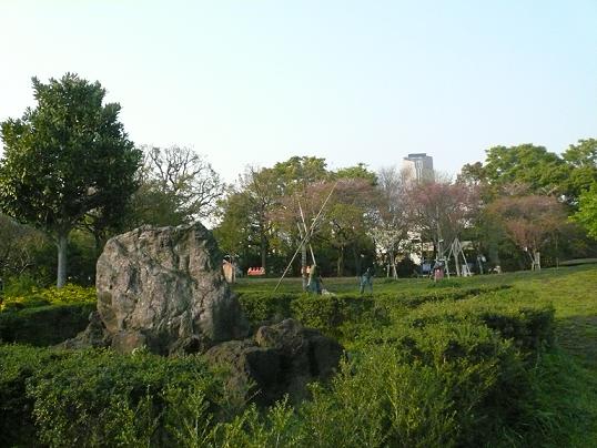 公園2.JPG