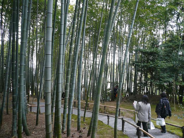 高台寺その10.JPG