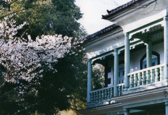 藤村記念館と桜