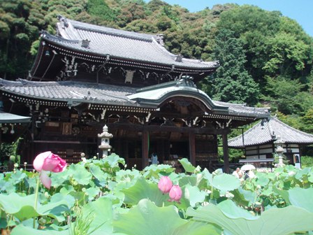 三室戸寺