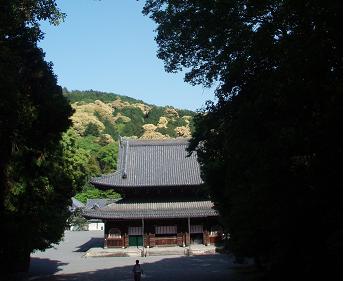 泉涌寺本堂