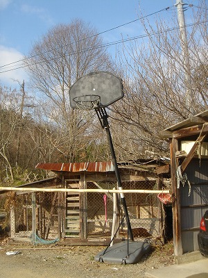 DSC04579.jpg