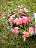 2009-07-15 13:48:25