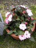 2009-07-15 13:51:04