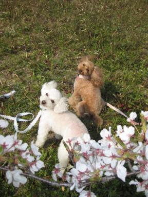 振り返りショット！