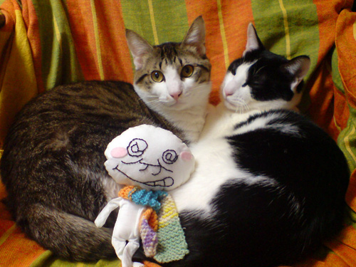 ぬいぐるみ鈴木さんと猫