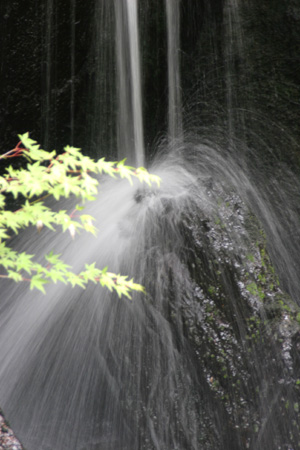 ブログ 393.jpg-2.jpg