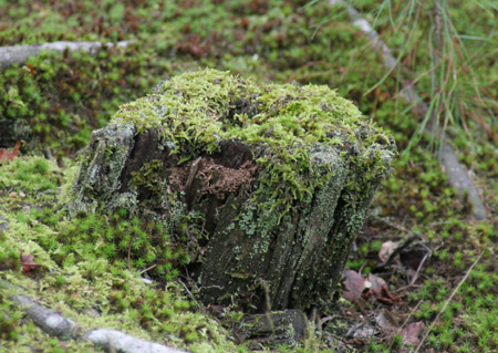 ブログ 395.jpg-2.jpg