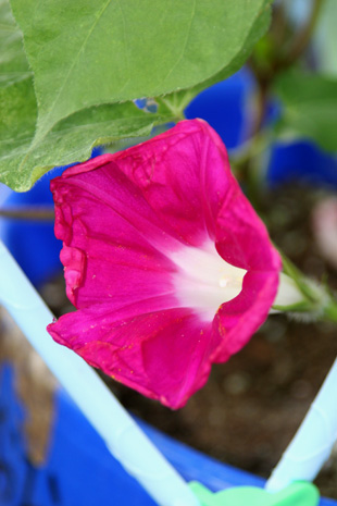 ブログ 057.jpg-2.jpg