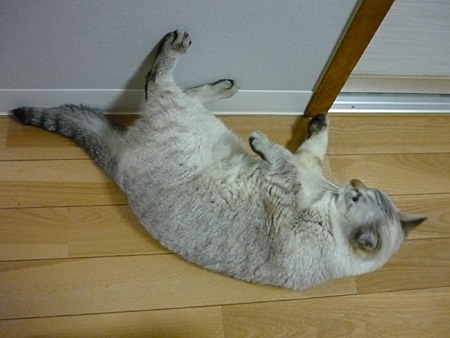 寝そべって