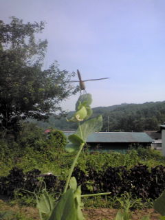 2009-07-15 19:19:59