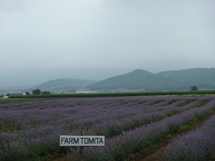 DSC03813.JPG