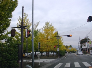 DSC02183.JPG