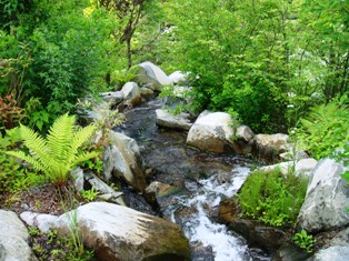 DSC03452.JPG