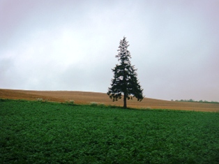 DSC03838.JPG