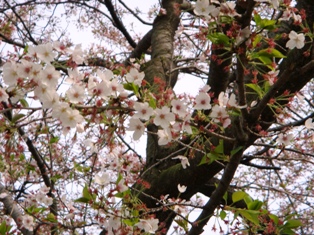 DSC02844.JPG