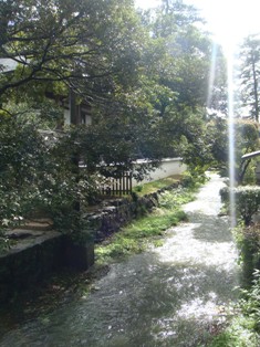 DSC02277.JPG