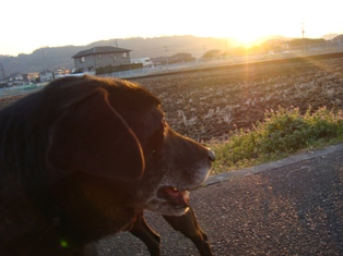 DSC02487.JPG