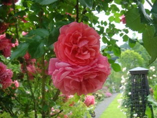 DSC01190.JPG