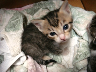 DSC01121.JPG