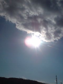 2010-02-20 15:31:48