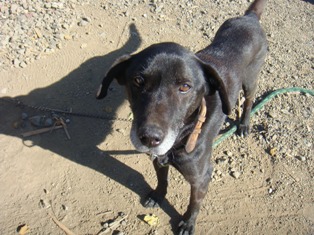 DSC02591.JPG