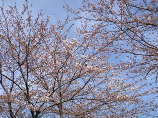 DSC02790.JPG