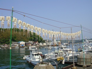 DSC02931.JPG