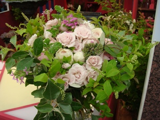 DSC00850.JPG