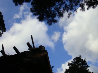 DSC02416.JPG