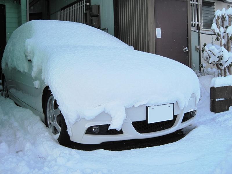 またゆきどけからはじめます・・・。